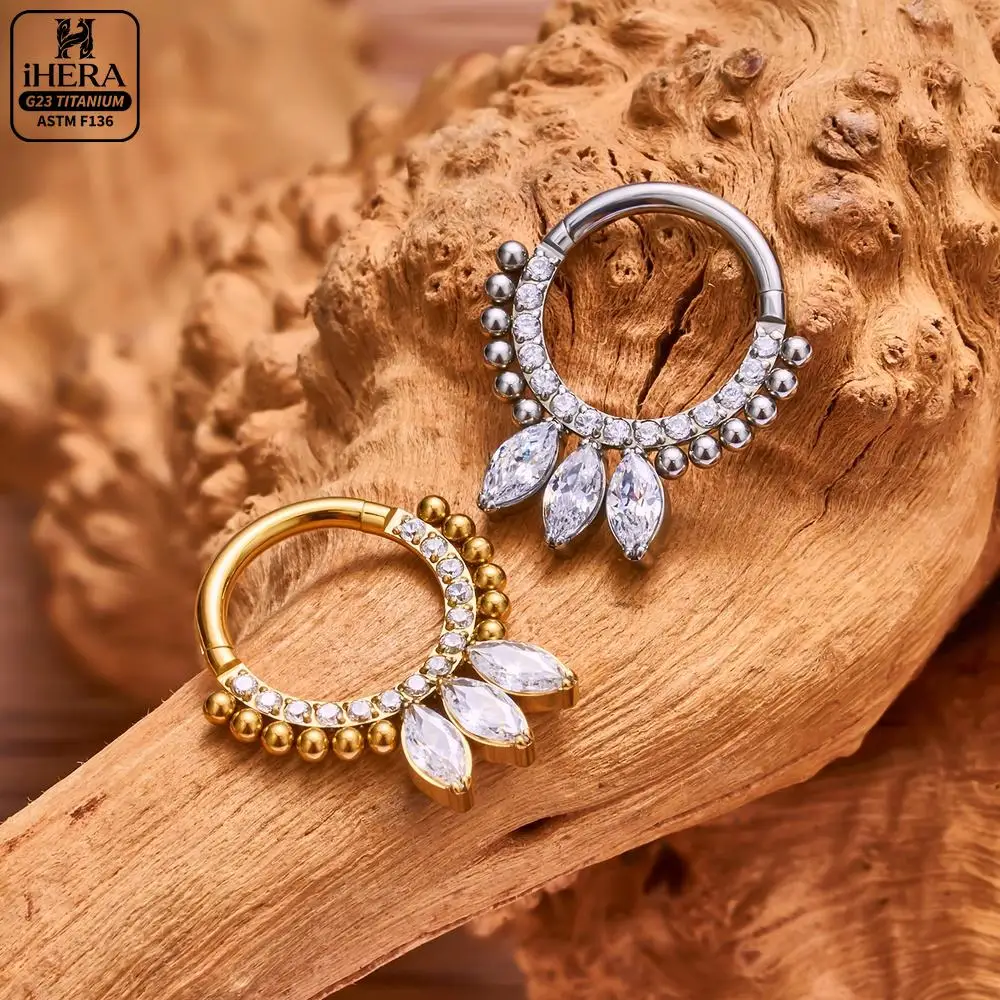 ASTM F136 Titanium Luxury CZ Inlaid Hinged Segment Ring Round Hoop Daith Helix Septum Piercing Jewelry Clicker Nose Ring Set view 6