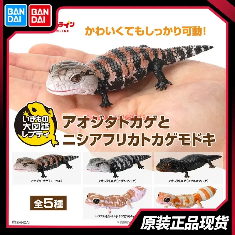 Original Bandai Gashapon Big Biological Map Gecko Lizard Blue-Tongued Skink Simulation Movable Action Figure Model Toy Gifts