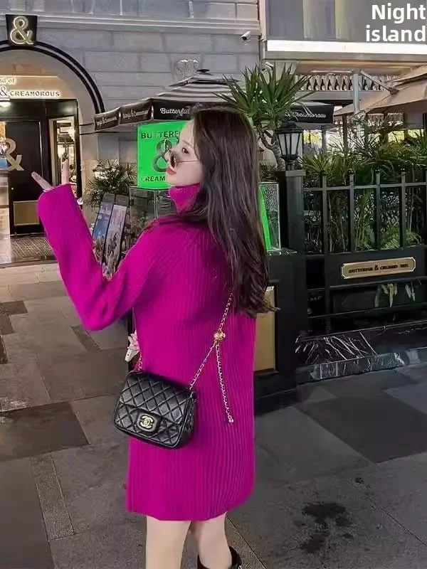 خريف شتاء جديد Sle تخفيف Sle قماش آخر ذوي الياقات العالية محبوك المرأة منتصف طول قاعدة طبقة سترة تنورة #4