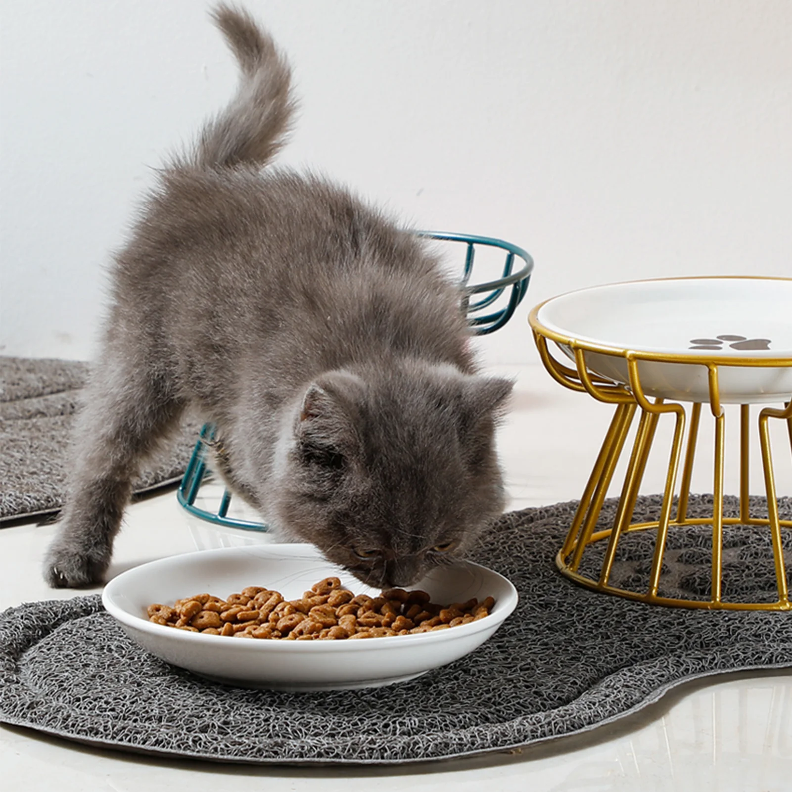 Whisker-Friendly Cat Bowl Reliefs Fatigue Wide Non Slip Shallow Dish with High Stand for Cats and Small Size Dogs