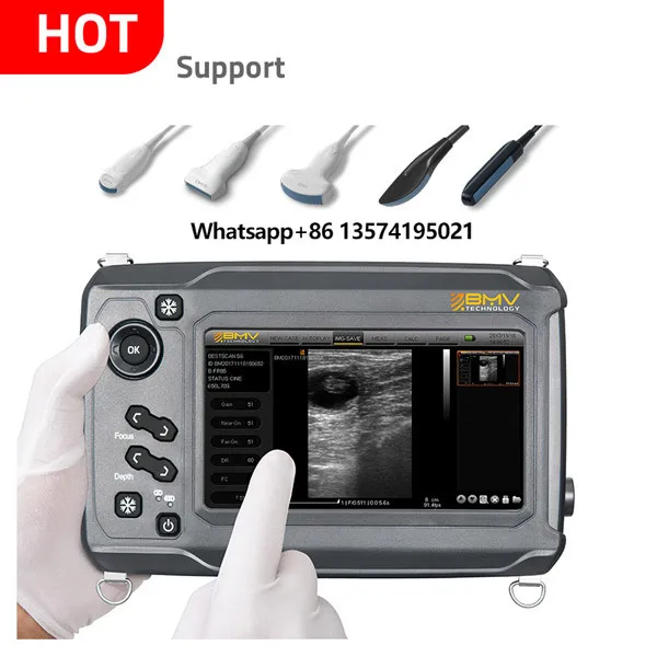 

Cheap Handheld Animal Portable Veterinary Diagnostic Touch Handheld Usg Plam Portable Ecographe for Cattle Equine