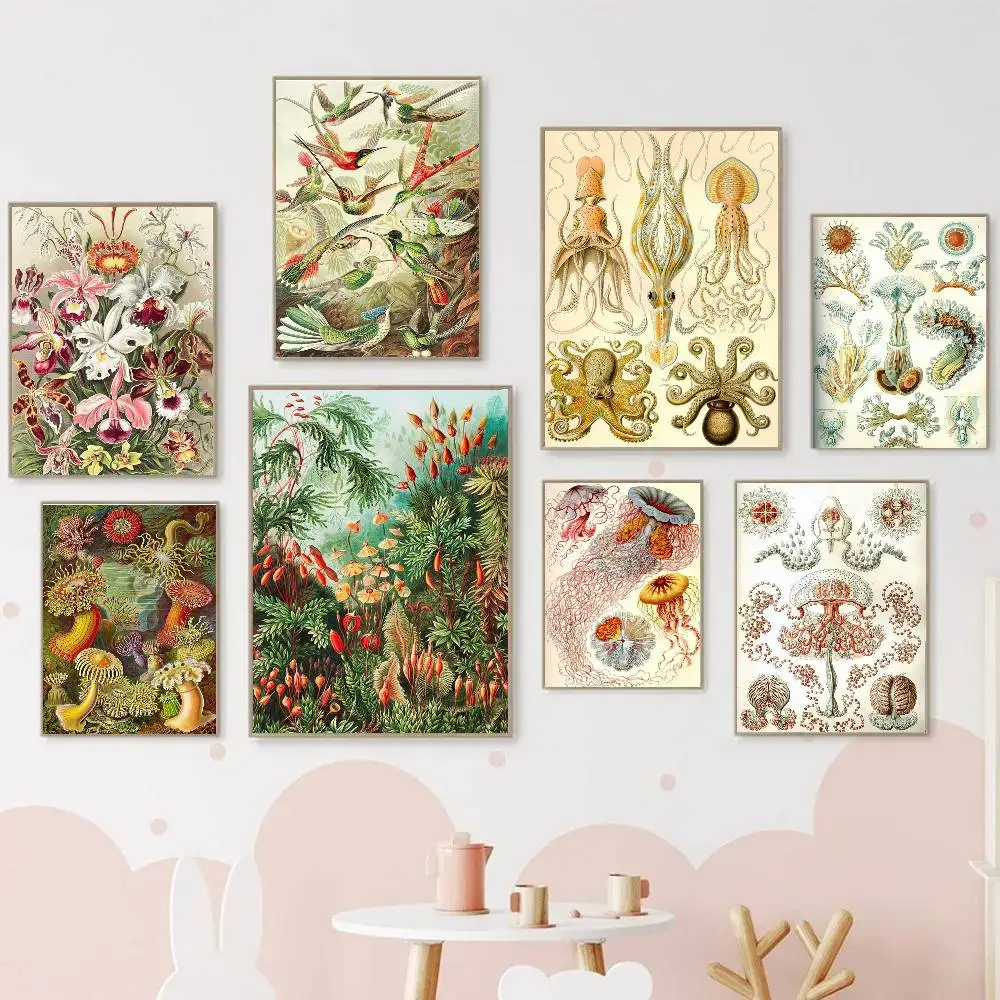 Ernst Haeckel Biology Art Sticky Wall Waterproof Home Living Room Bedroom Bar Aesthetic Decoration