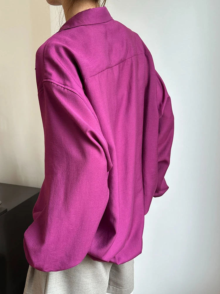 [EAM] Women Purple Perspective Big Size Thin Blouse New V-Neck Long Sleeve Shirt Fashion Tide Spring Autumn 2024 1DH5617