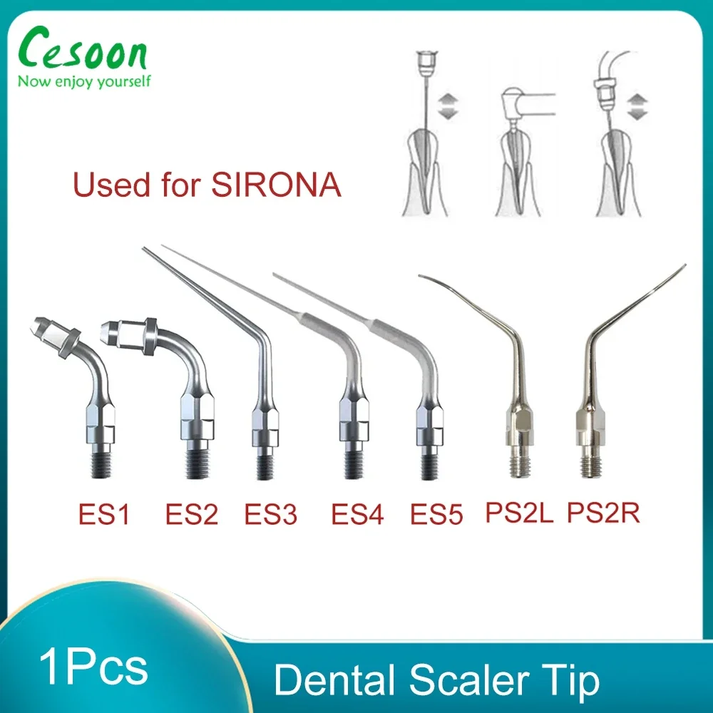 

1Pcs Dental Scaler Tip Endo 95°/120° Angle Holder ES1/2/3/4/5 PS2L/PS2R Tip Fit Sirona Ultrasonic Scaler Teeth Whitening Tools