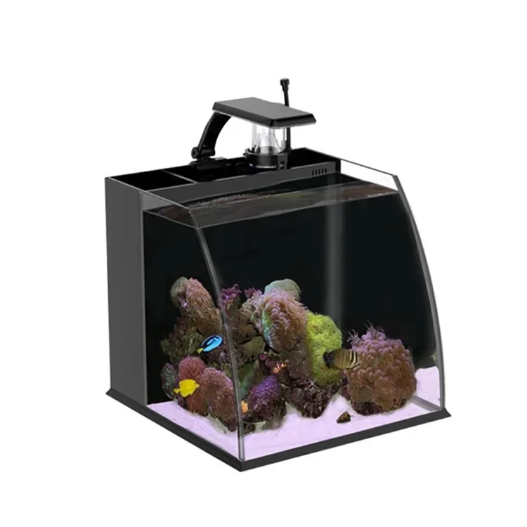 

Ultra Clear Glass Mini Salt Water Aquarium Fish Tank for Marine