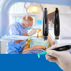 Dental 4:1 Hygiene Prophy Handpiece 360° Swivel 2/4 Holes Air Motor Straight Nose Cone Disposable Angle/Prophy Angles