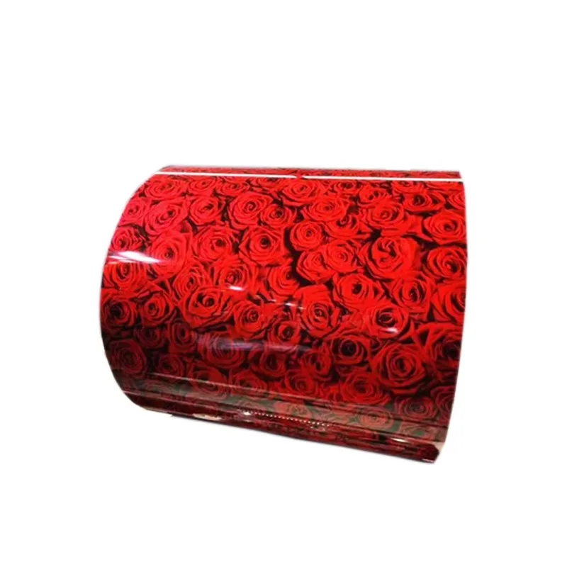 

Hot Sale DX51D Galvanized Coil Z275 PPGI 0.14~1.2mm Color Coated Steel Bending Cutting for Construction