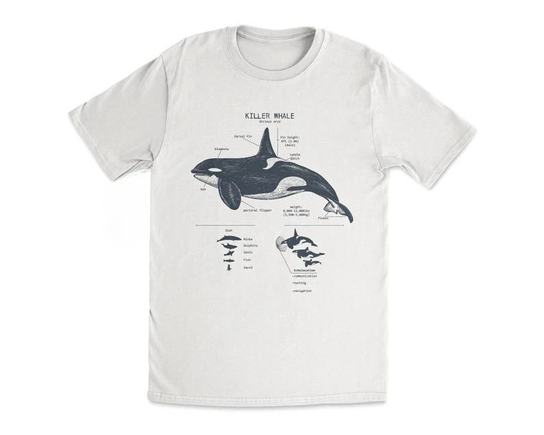 Camiseta con delfines de Orca y anatomía de ballena asesina, camiseta de vida marina, camisa de playa, regalo de biología marina, regalo de delfines, ropa de calle, Tops