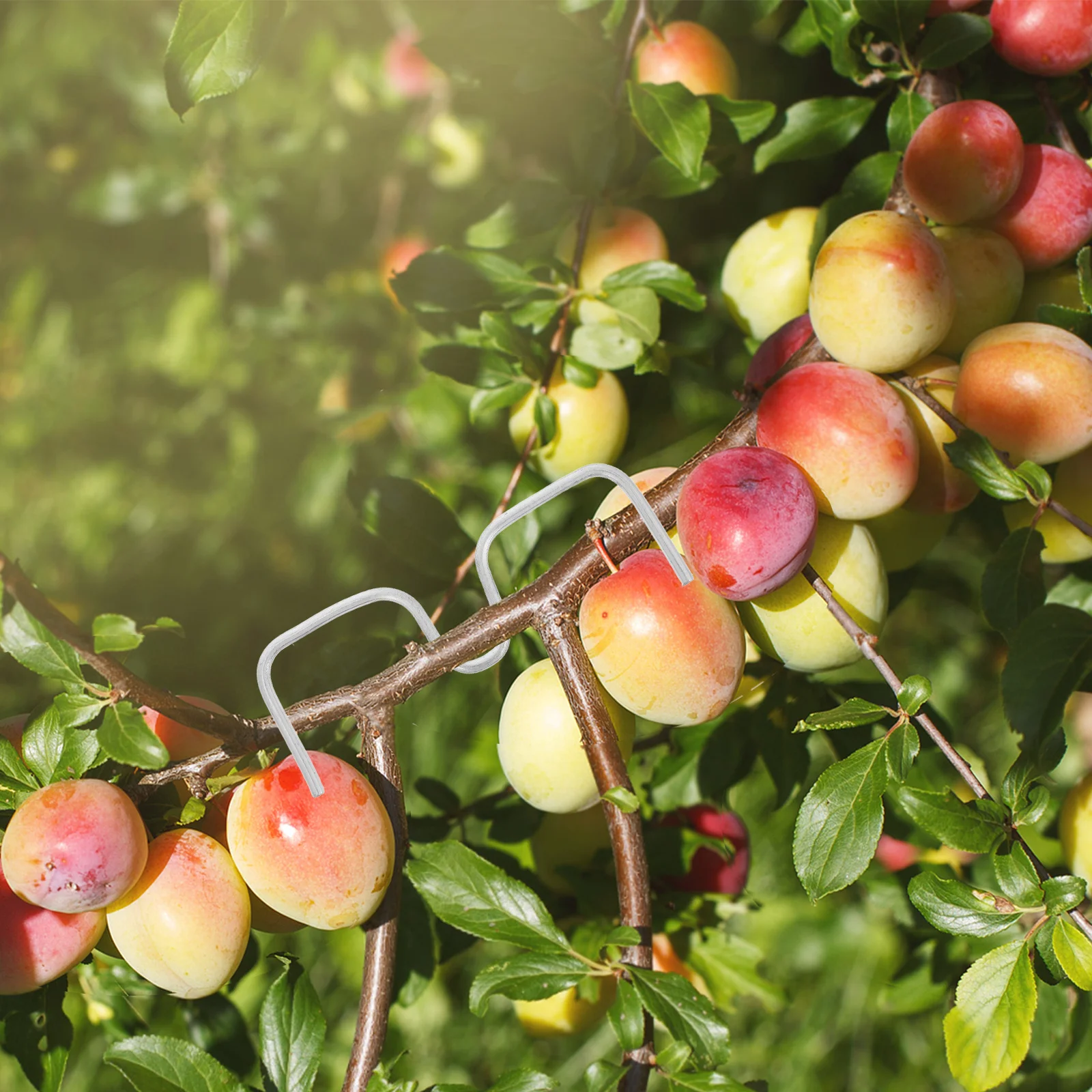 

14pcs Branch Shaping Tool Tree Branch Spreader For Training Fruit Trees Fixator Garden Plant Support Clip Bending Twig Clamps