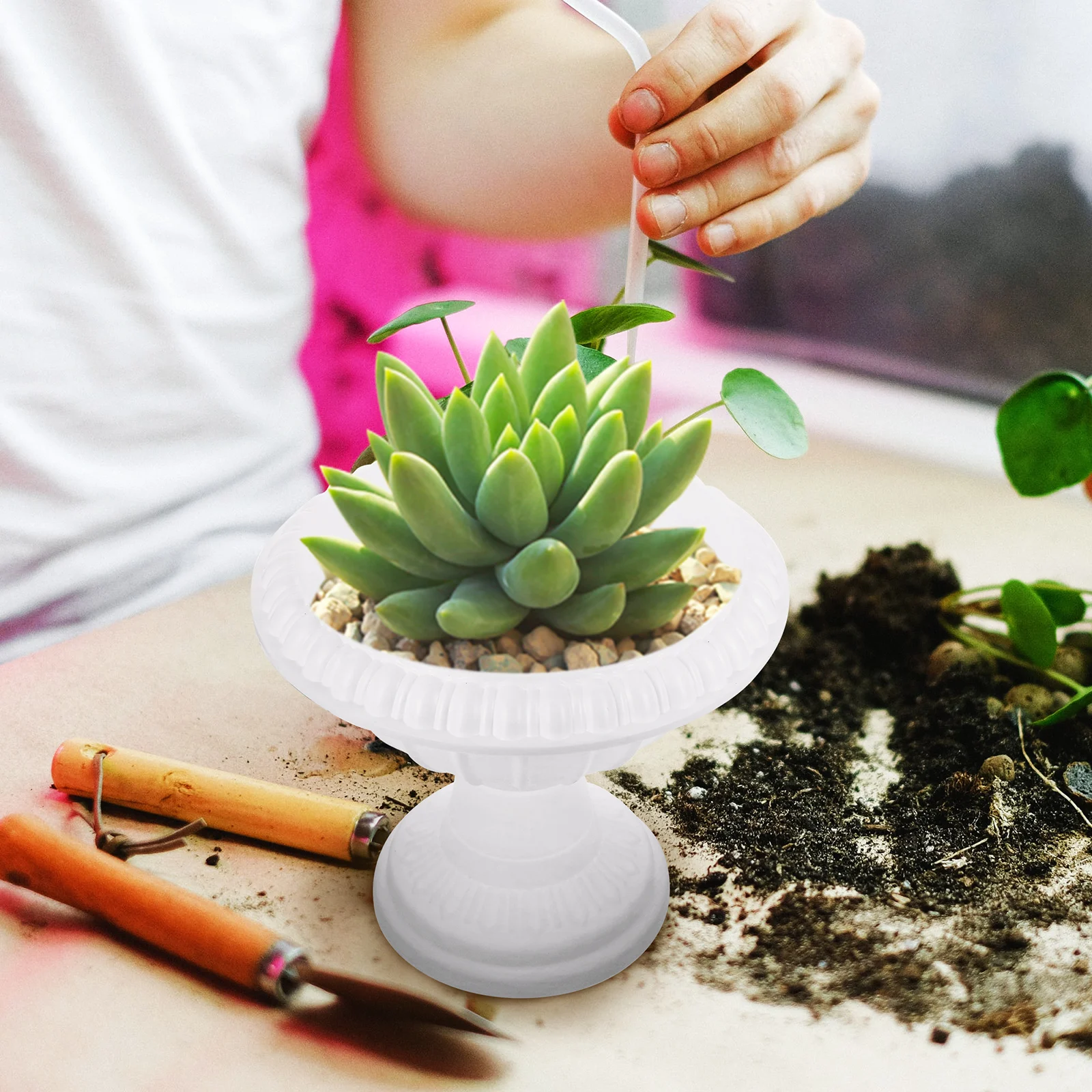 

2 Pcs Plastic Flowerpots for Green Plants Lightweight Reusable Smooth Easy Clean Roman Column Design Perfect Gift