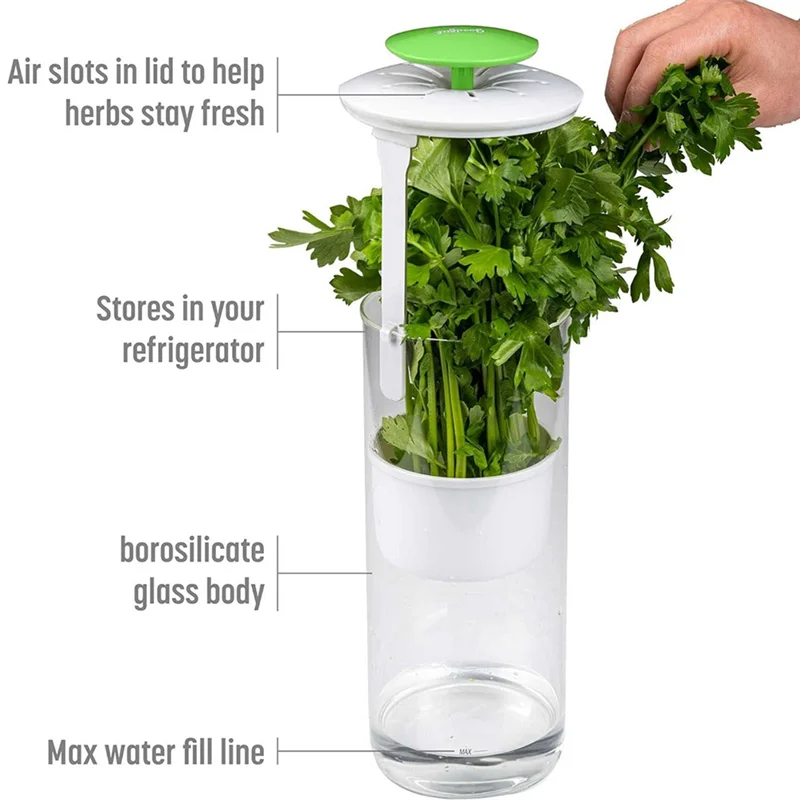 

A03I-Vegetable Herb Preservator Herb Coriander Fresh-Keeping Box Breathable Herb Storage Container