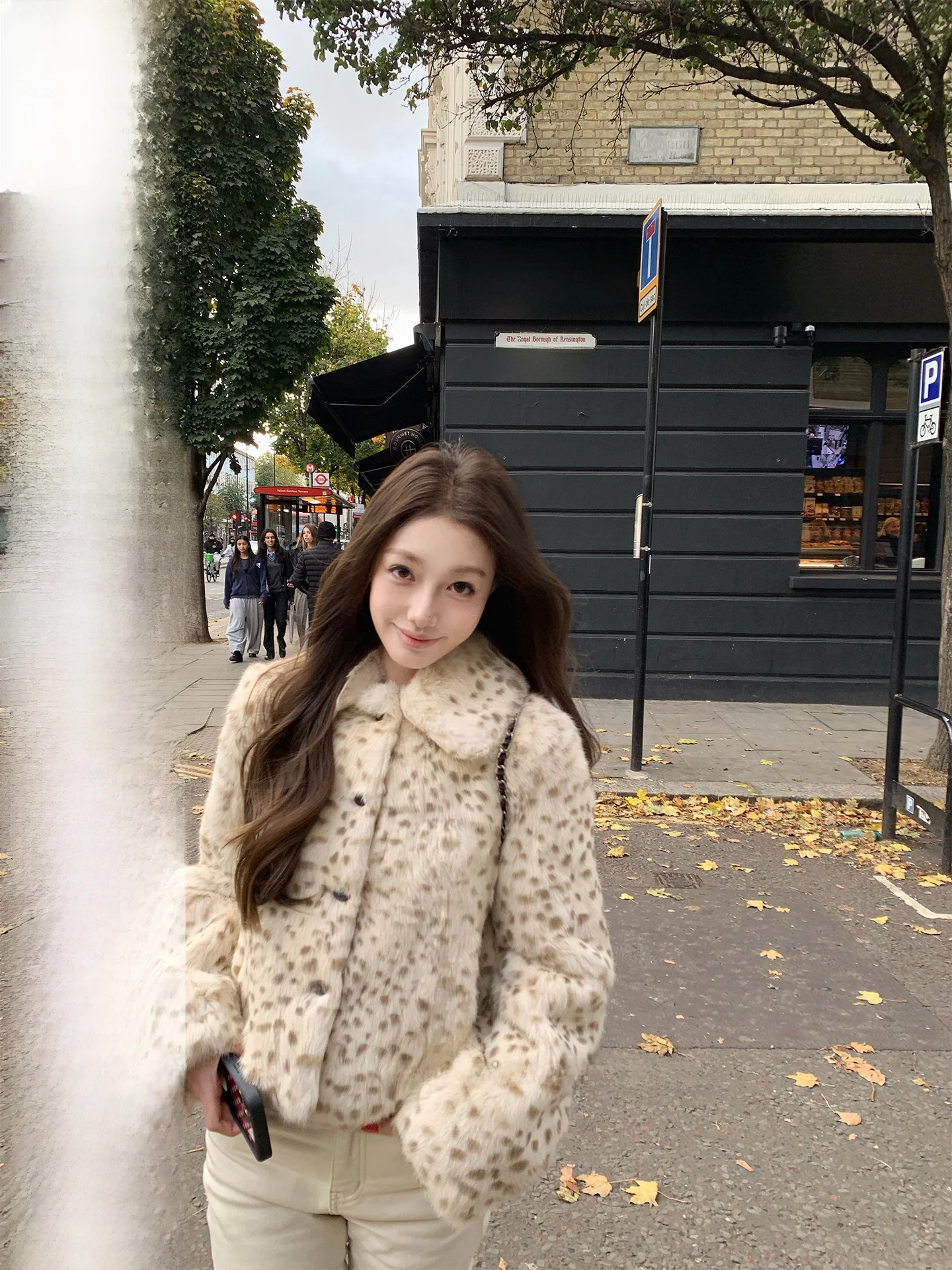 

Chestnut Happy Warmth Women's Coat Rabbit Fur Trimmed Lapel Winter Outerwear Casual Sle ort Length Polyester