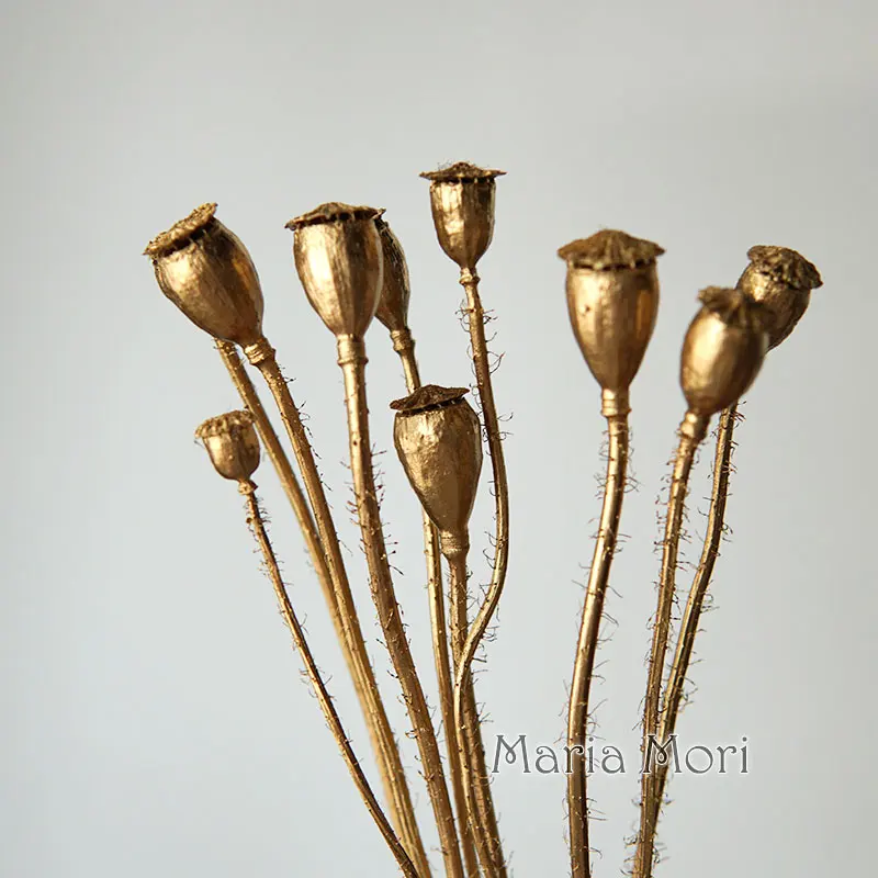 10 Stück/konservierte Blumen, Mais Mohn, Obst, Heimdekoration, DIY-Material, Kristallkleber, handgefertigte Kerzen, Epoxidharzblumen, Gold, Silber – Detail 5