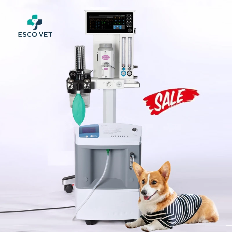 Manufacturer  Machine Veterinary Concentrator Machine Pet Therapy  Generator For Animals Respiratory Support