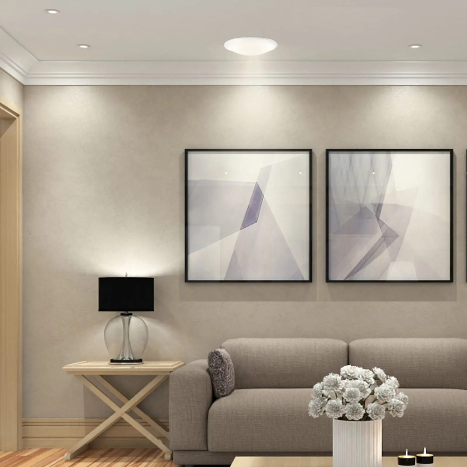 Paralume per plafoniera Copri lampada Cerchio Bianco Pet Bagno Ufficio Plastica Materiali robusti Facile installazione Smontare Pulizia