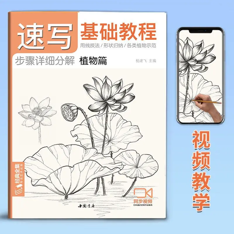 Zero Foundation Beginner Sketching Fundamentals Tutorial Pencil Drawing Album Book - Copying Textbook for Art Learners