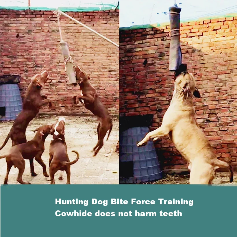 Large Dog Bite Force Training Tactics Dog Bully Pitbull Work Dog Cowhide Stick Training Bite Force, Buffer Spring Bite Stick Toy
