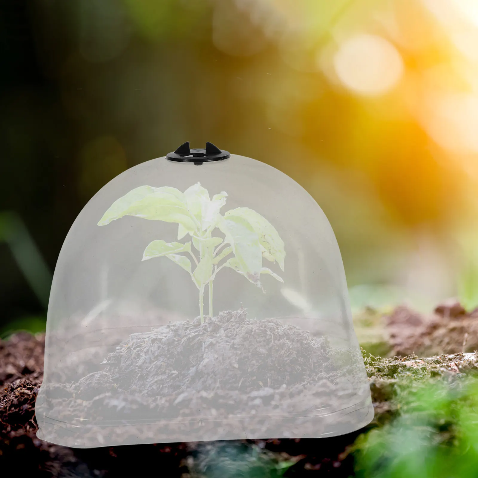 6Pcs Clear Plastic Garden Dome Cloche for Plants Frost Protection Humidity Dome Breathable Plant Cover for Seedlings Small