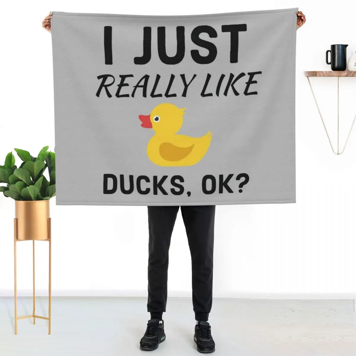 I Just Really Like Ducks Ok Throw Blanket Vintage sofa bed christmas decoration Beach Plaid Thermal Blankets