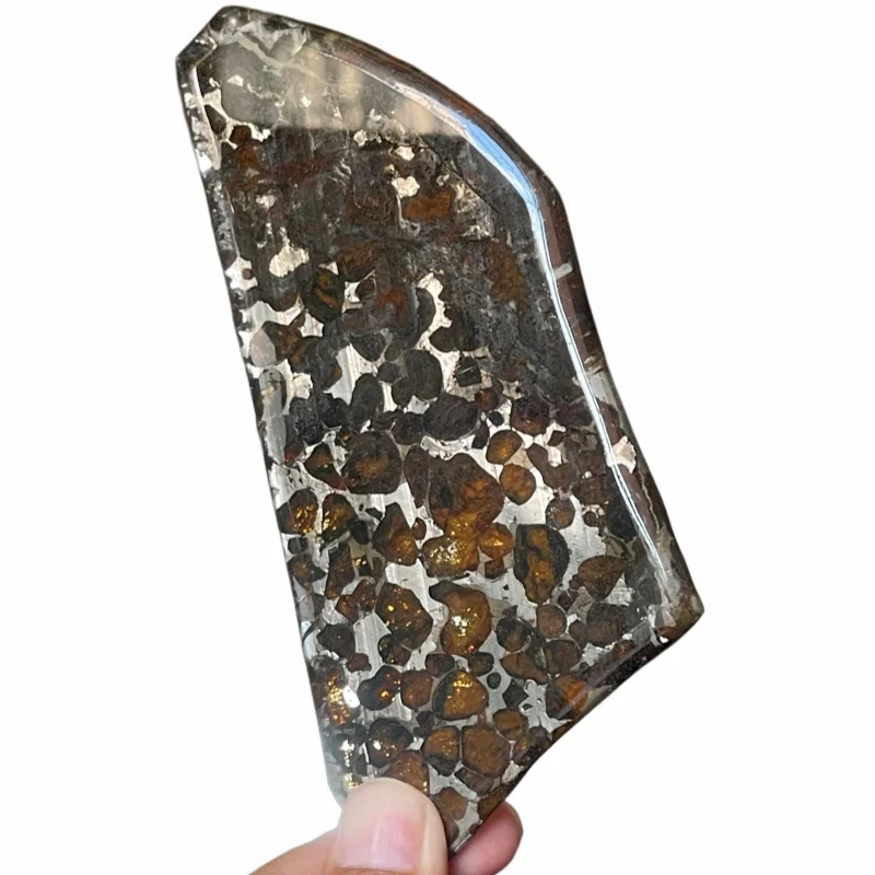 Natural Sericho Pallasite Meteorite Polished Irregular Slice Transparent Olivine Crystal Space Collectible TA808