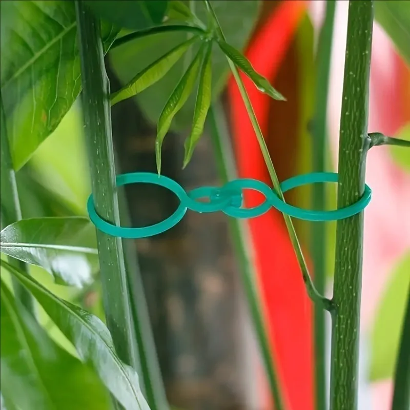 125Pcs Garden Plant Support Kit Vine Clips Twist Ties Plant Rope For Tomato Vegetable Climbing Plants