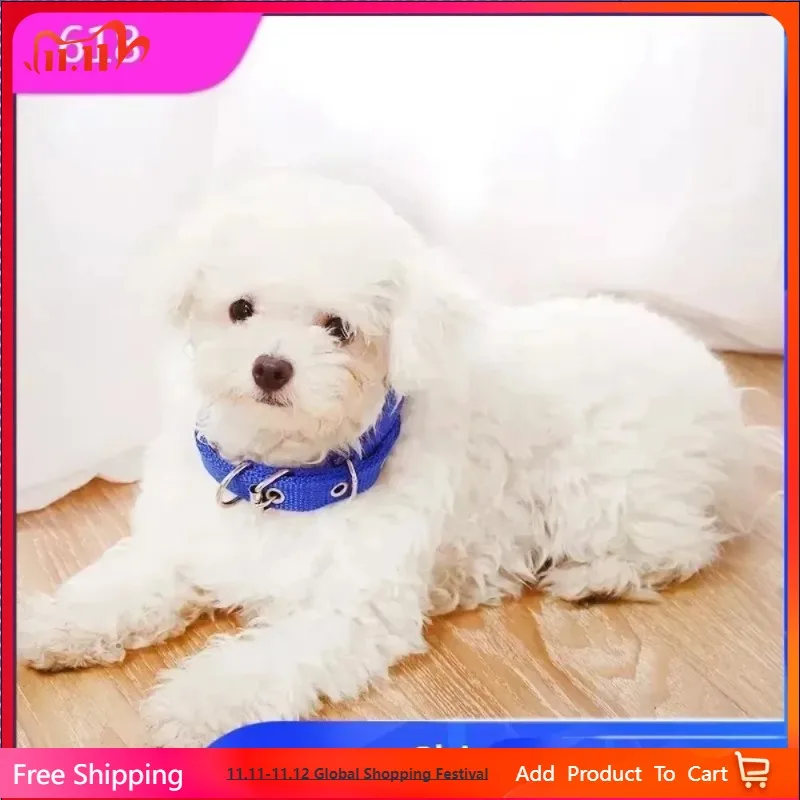 

Adjustable Nylon Pet Dog Collar for Small Large Dogs Sturdy Puppy Big Dog Collars Pitbull Pug Products for Pets Honden Halsband