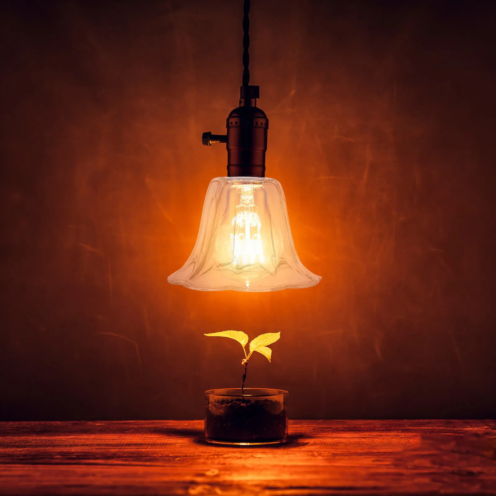 

2Pcs E27 Glass Lampshade Transparent Home Light Decoration Durable Practical Living Room Bedroom Study Transparent Lamp Shade