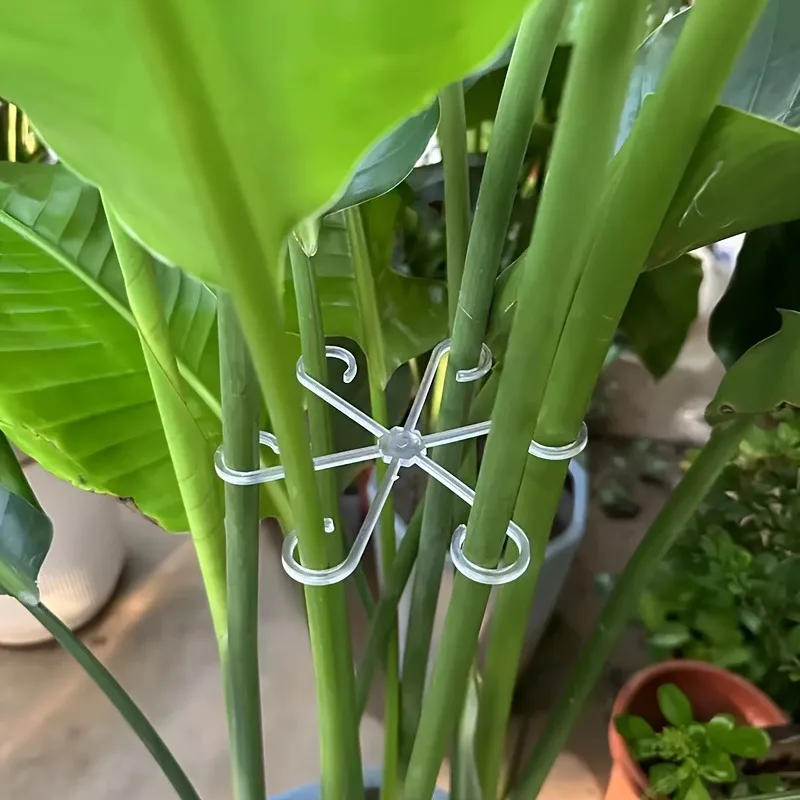 4pcs Adjustable Transparent Plant Support - Clips for Secure & Upright Growth of Garden Flowers & Stems with Green Vine Trellis