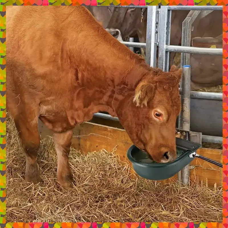 

Promotion! Cow Drinking Water Automatic Water Bowl Drinking Device Drinking Device Cow Drinking Trough Drinking Water Equipment