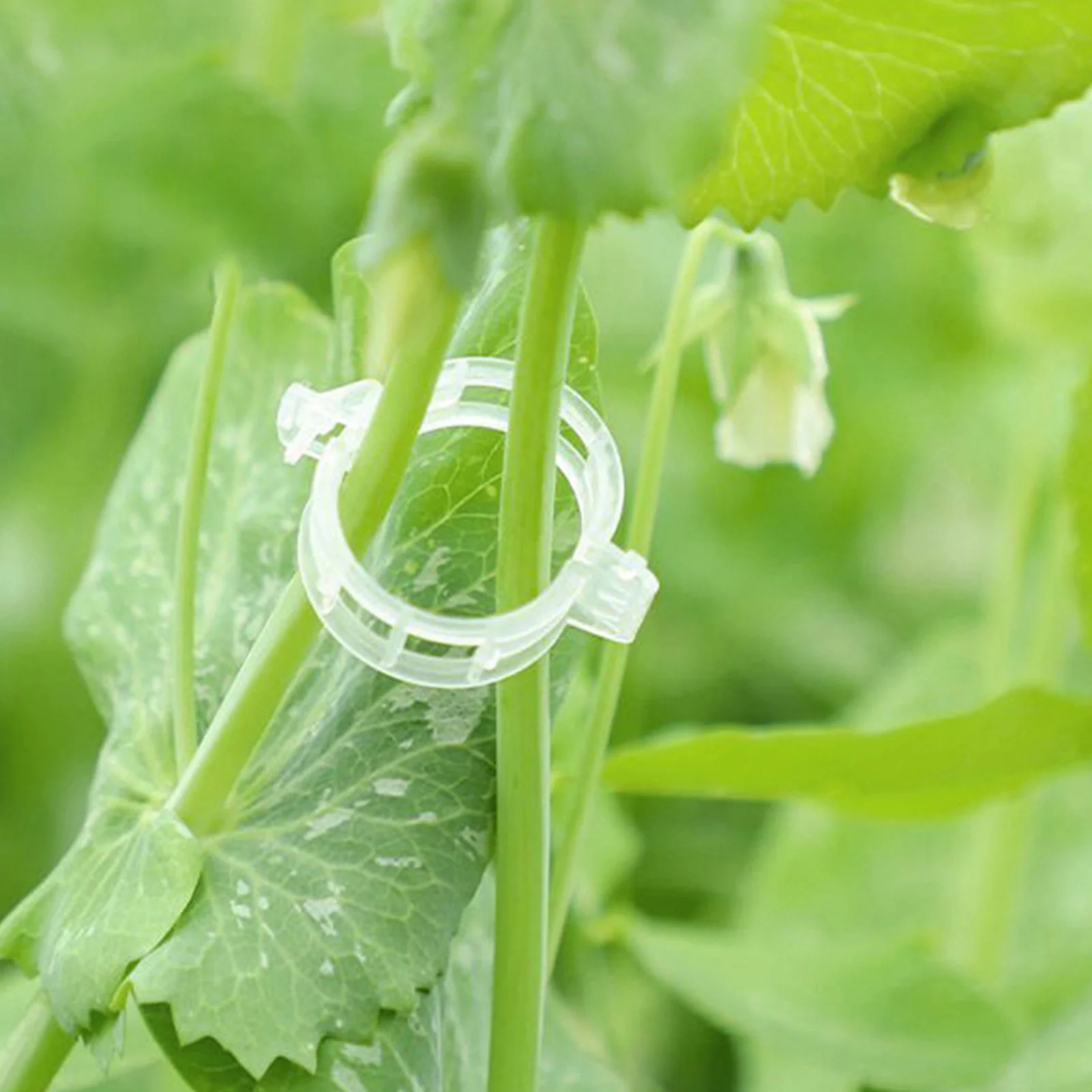

400pcs Vegetable Stem Plastic Trellis Clips For Tomato Vine Support Garden Use Vine Support Clips For Climbing Plants