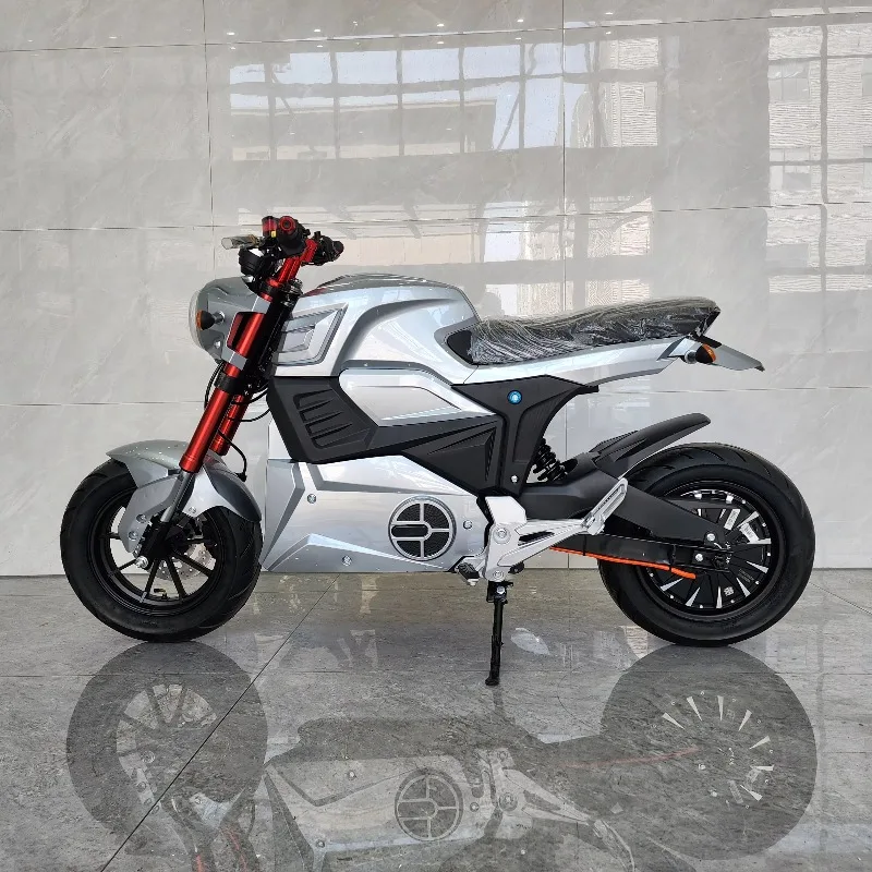 Custom Electric Motorcycle 2000W-5000W - usage example