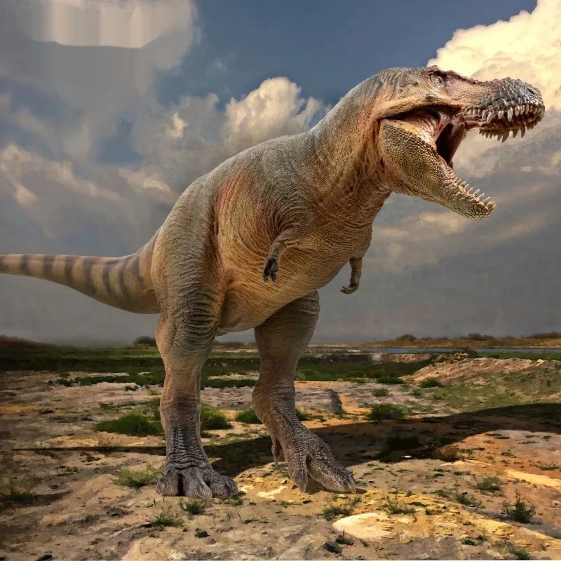 

High-Quality Zhucheng Tyrannosaurus Rex Dinosaur King Growth Companion Model Collectible Desktop Decoration Holiday Gift