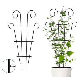 Stakes Plant Climbing Support Frame Trellis Flowers Stand Cage Tree Garden Plant Support Home Plant Care Soil Floral Arrangement