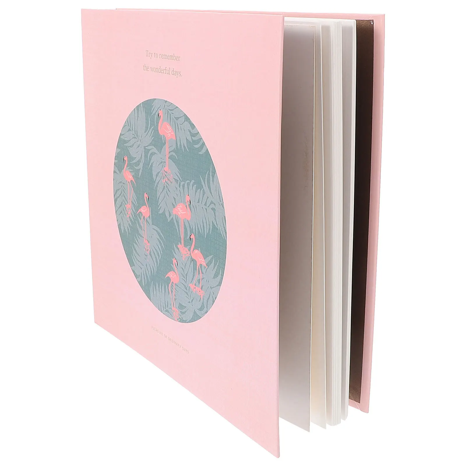 

Pressed Flower Specimen Album DIY Dried Flower Storage Binder Loose Leaf Plant Notebook for Crafting Home Decor Family Gift Easy