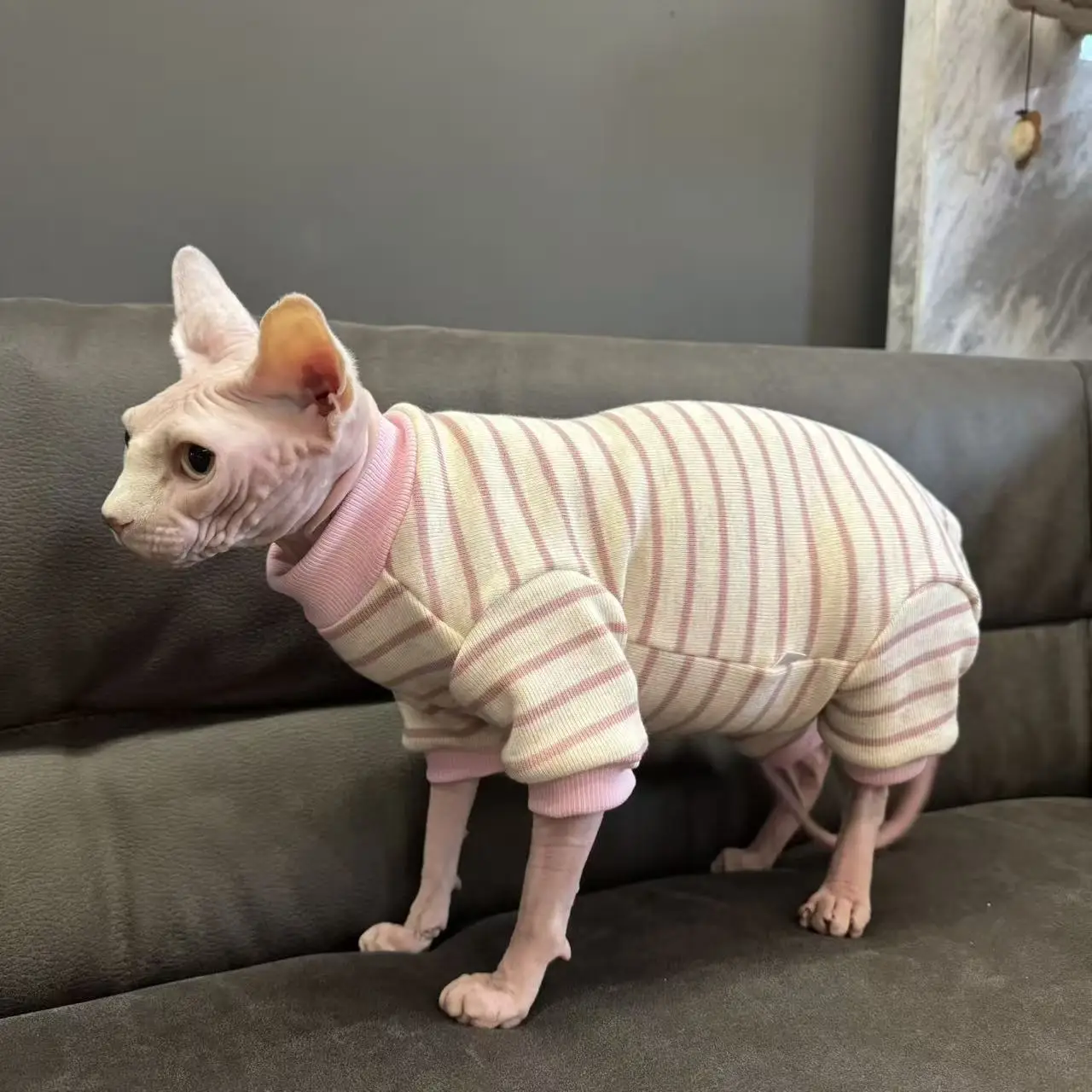 Winterkleding voor Sphynx-katten: gestreepte fleece jumpsuit met muts, warme, volledig bedekkende, vierpotige outfit, jas voor haarloze katten.