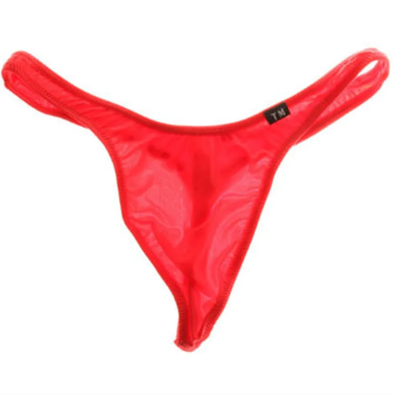 Men's Nylon Sheer G-String Thong Low Waist Breathable Sexy Protective Pouch Underwear