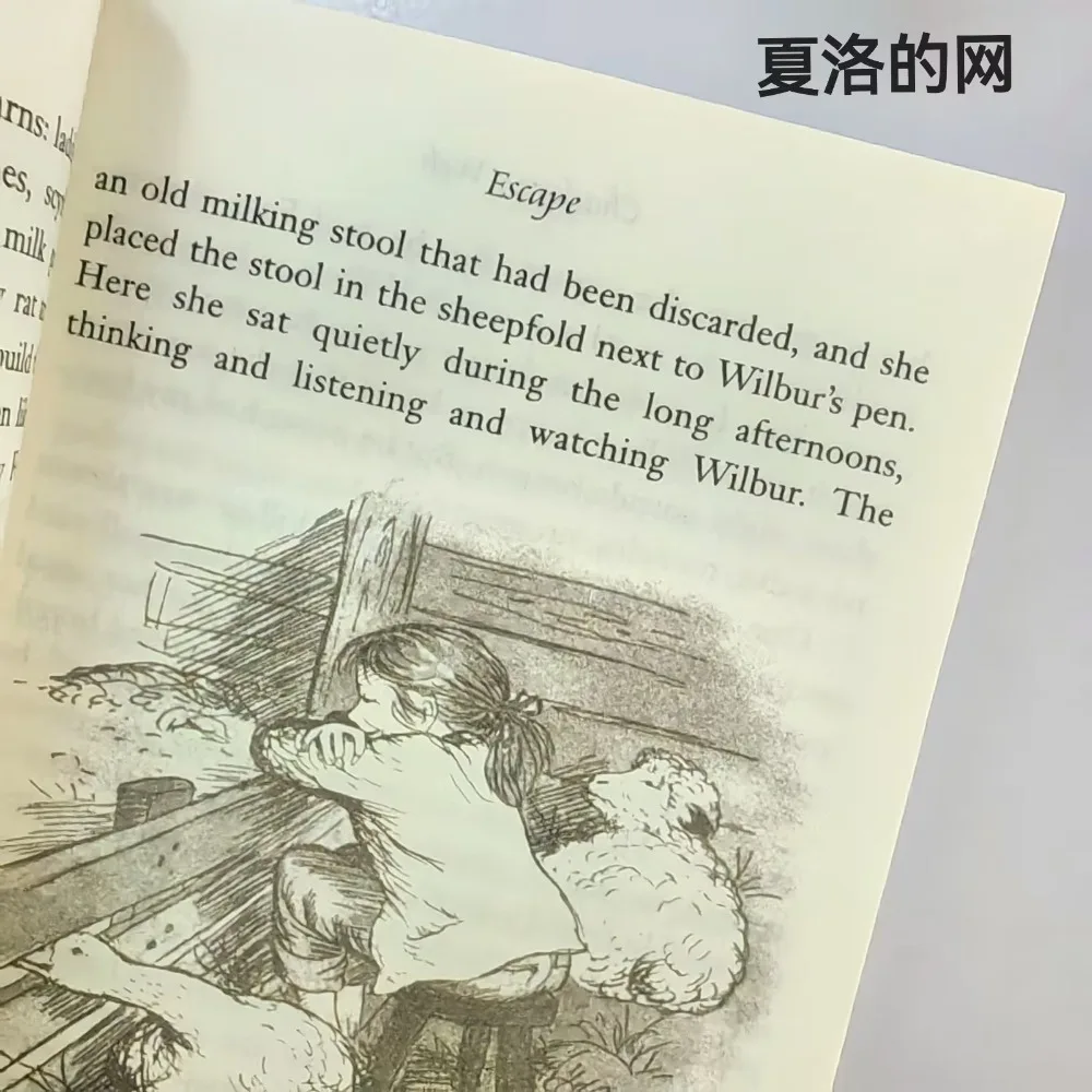 Charlotte's Web Newbery Versione inglese Romanzo Libro di fiabe Fiction