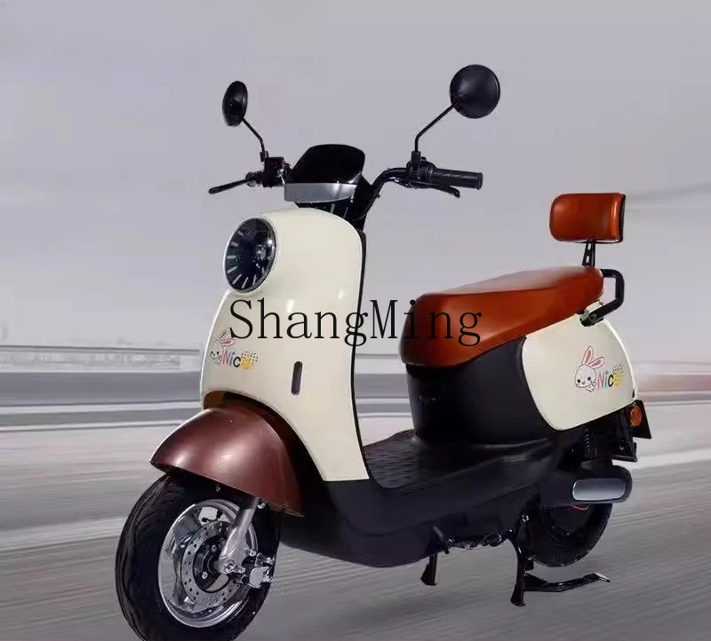 ZYH's new electric car is upgraded to 48v60v72v small electric motorcycle battery car for outdoor travel - Image 4