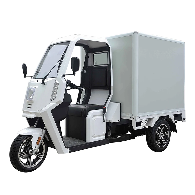 High Quality Courier Delivery Three Wheel Cargo Electric Tricycles Motorcycle Custom Logo Electro-tricycle For 3 People