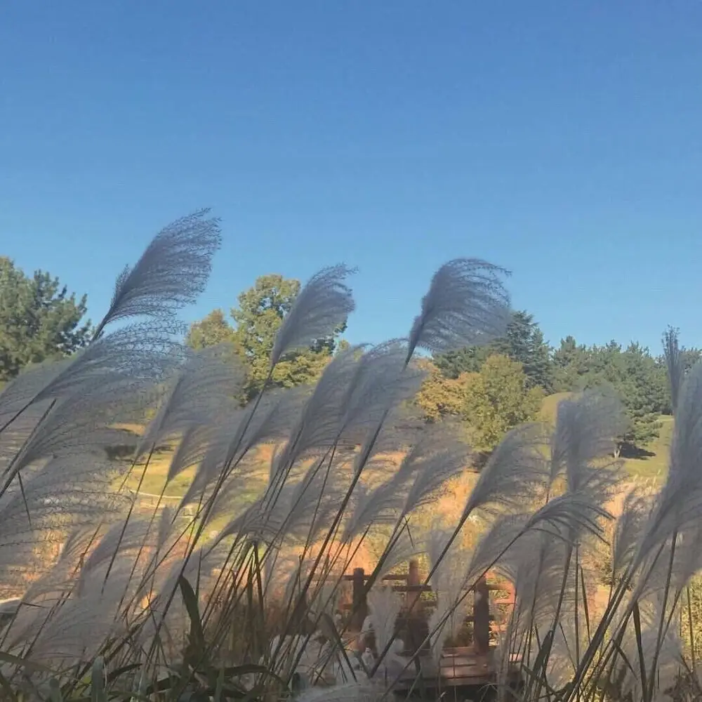 

Крышка коробки передач с электродвигателем для Hyper GO MJX 1/7 7303 7304, металлическое обновление радиоуправляемого автомобиля, аксессуары OP, детали