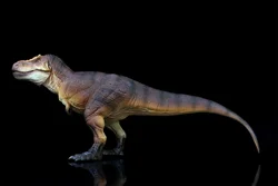 RECUR 1/35 Tyrannosaurus Model Tyrannosauroidea Dinosaur Animal Figure Collection Scene Decoration GK Adult Birthday Gift