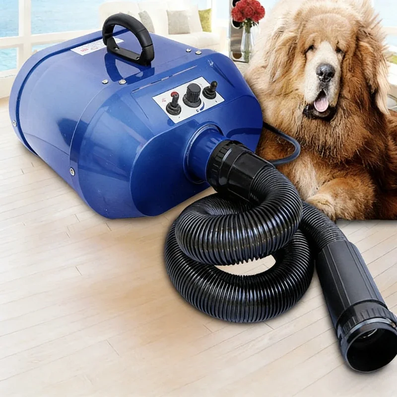 Double Motor Water Blower Pet Shop Dogs and Cats Large Dog Golden Retriever Variable Heating Hair Dryer Small Animals Supplies