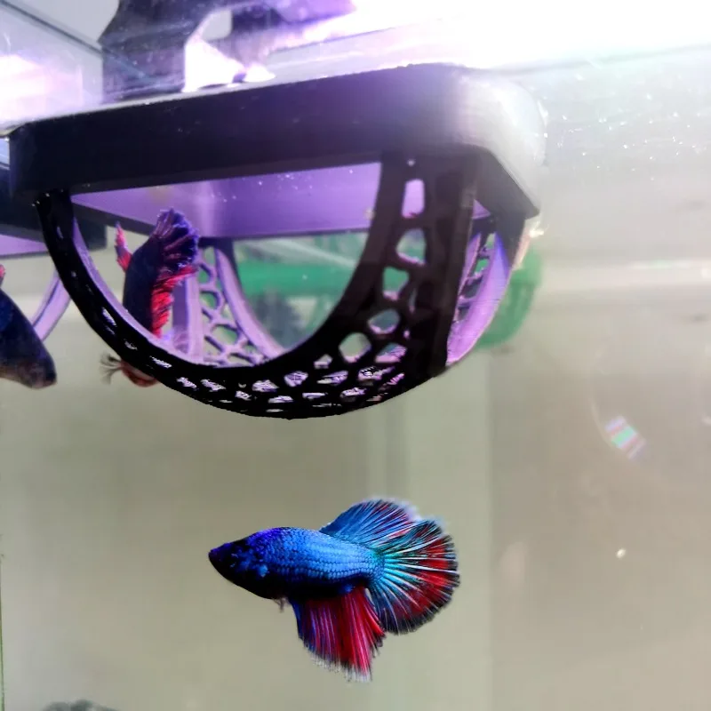 Refugio oculto para peces y camarones, cueva flotante para acuario, hamaca: 3 en 1, anillo de alimentación y punto de descanso para mascotas acuáticas pequeñas y Betta