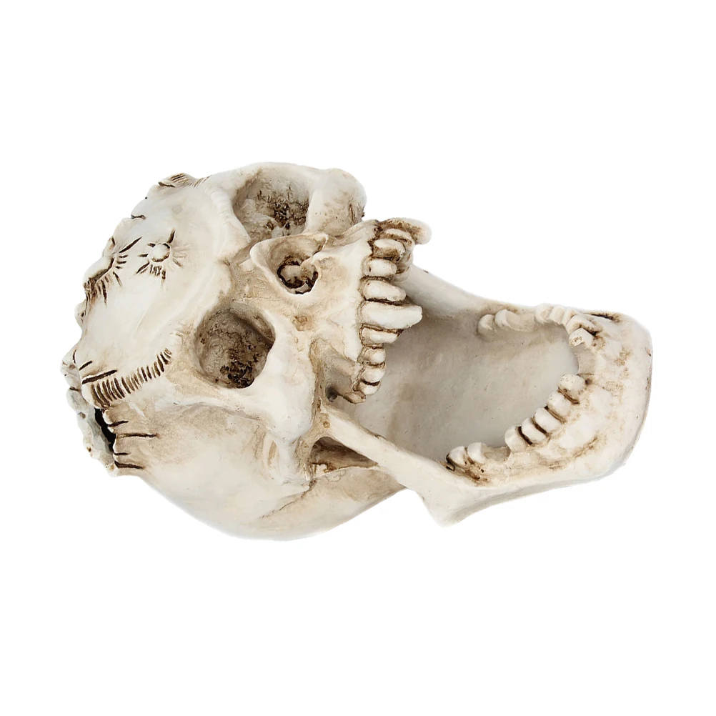 

Skull Pen Holder Resin Material Store Pens Pencils Makeup Brushes Stationery Office School Study Room Library Pen