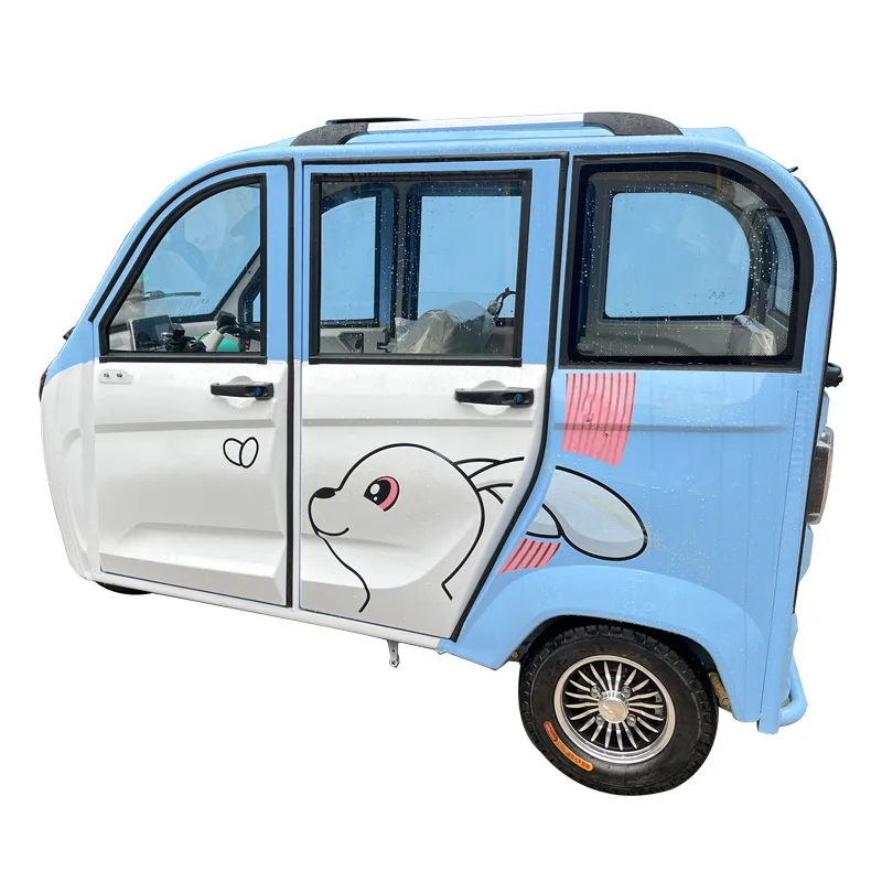 Fully Enclosed Adult Motorcycle Mobility Scooters Triciclo Electrico Adulto Electric Tricycle For India