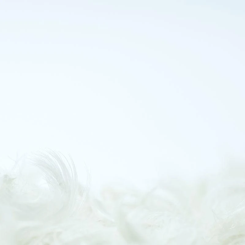 آلة قطع شرائح البطاطس الكهربائية آلة قطع عصا الجزر الصغيرة