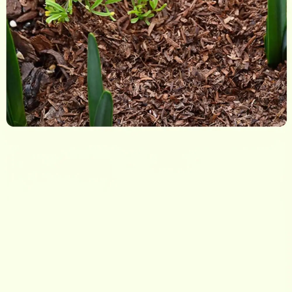 Natural Organic Soil Amendment Rice Husk For Gardening Potted Plant Succulent Vegetable Nutrient Growth Enhancement