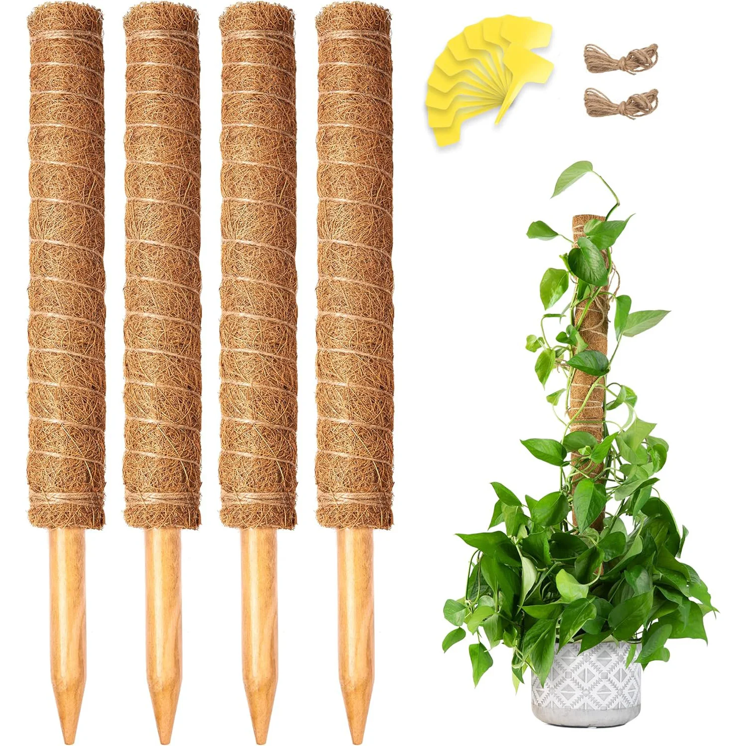 52 inch moss stick, used for indoor and outdoor potted plant climbing. Plant pole training for climbing plants to grow upwards