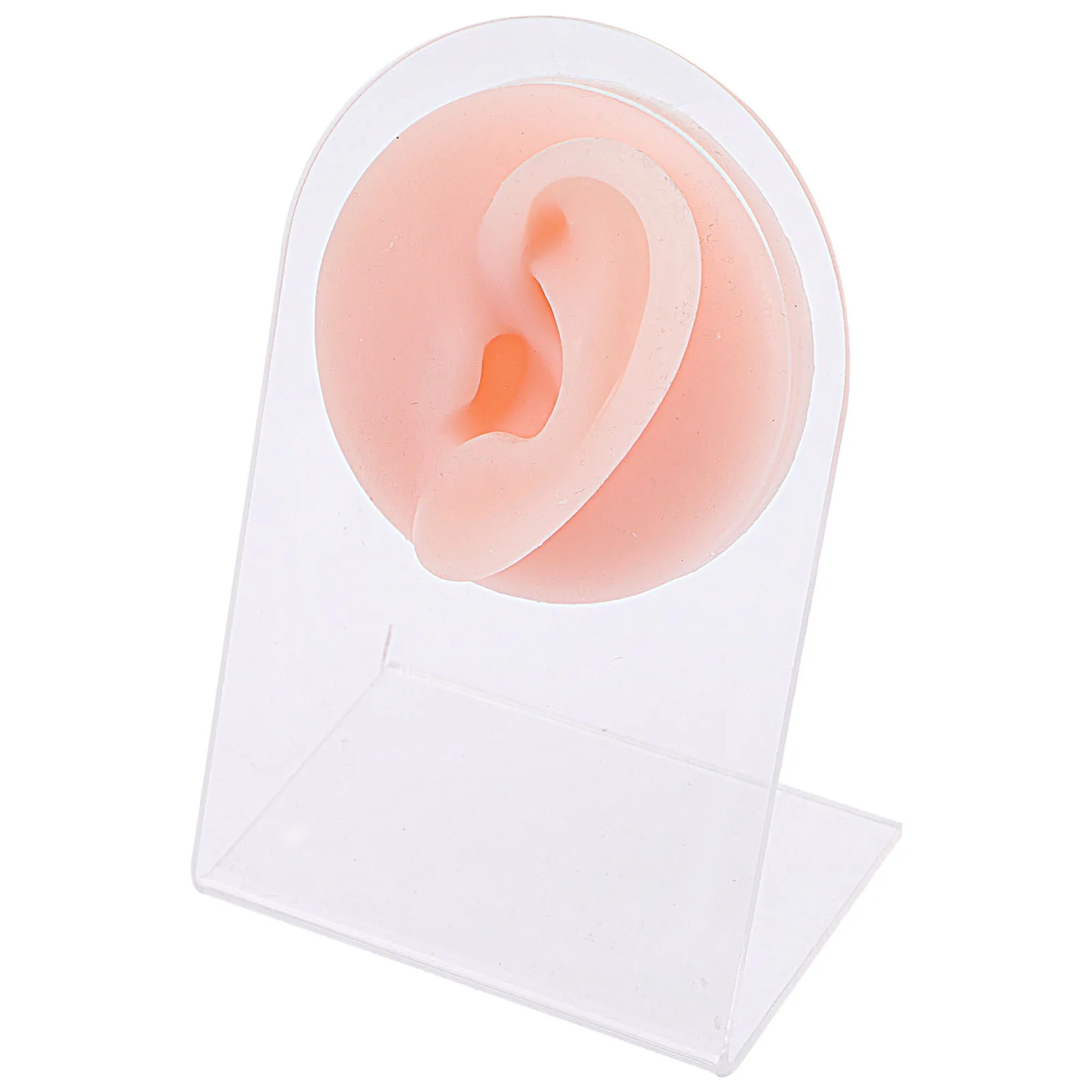 Silicone Ear For Piercing Practice Display Tool Jewelry Stand Acrylic Base Included Realistic Texture Hospital Spa Clinic Use