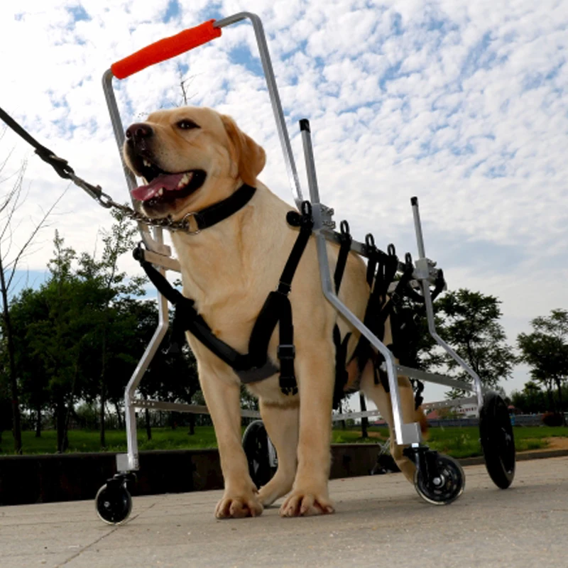 Handicapped Pet Walker Front And Back Legs For Support Crippled Disabled Dogs Rear Leg Carts 4 Wheels Dog Wheelchairs